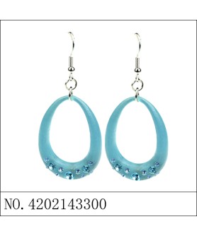 Earrings Blue