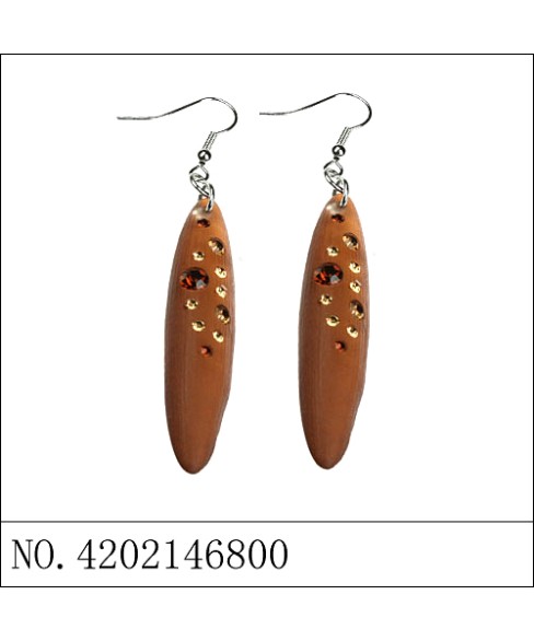 Earrings Brown