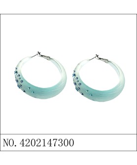 Earrings Blue