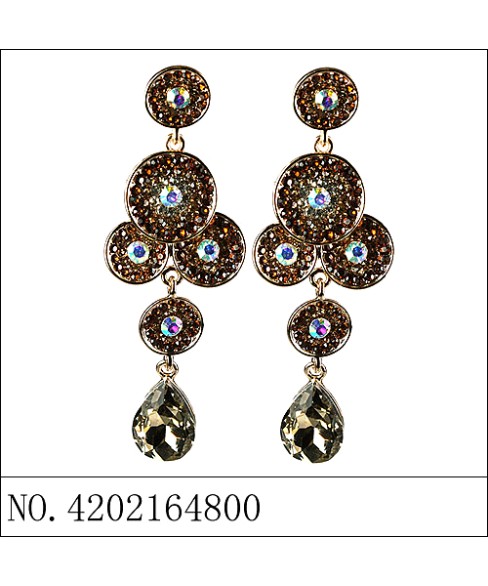 Earrings Brown