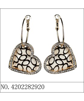 Earrings Gold