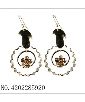 Earrings Gold