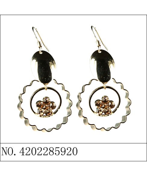 Earrings Gold