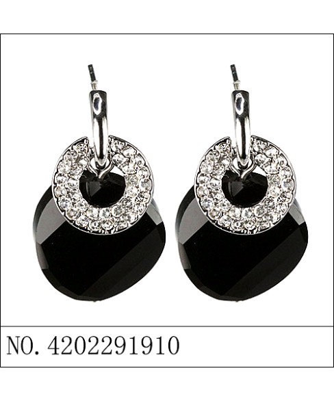 Earrings Black