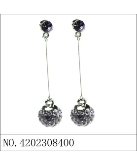 Earrings Purple