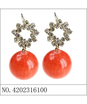 Earrings Red