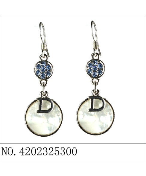 Earrings Blue