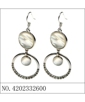 Earrings Gray