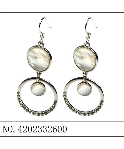 Earrings Gray