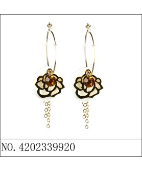 Earrings Gold