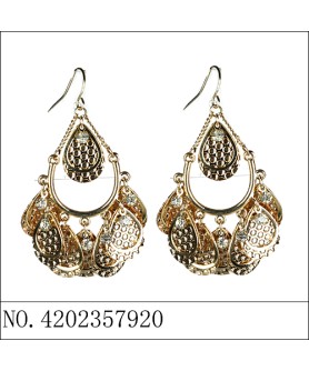 Earrings Gold