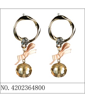 Earrings Brown