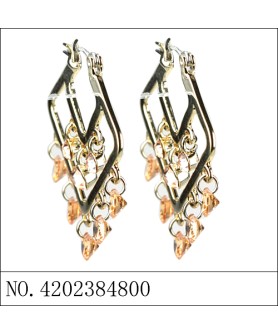 Earrings Brown