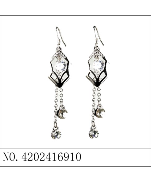 Earrings Black