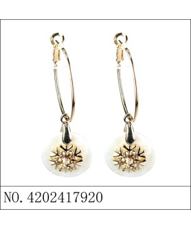 Earrings Gold