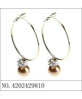 Earrings Brown