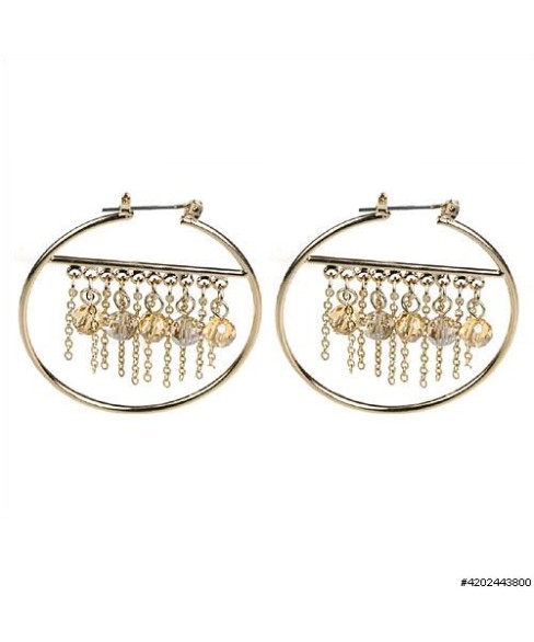 Earrings Brown