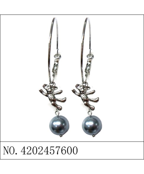 Earrings Gray