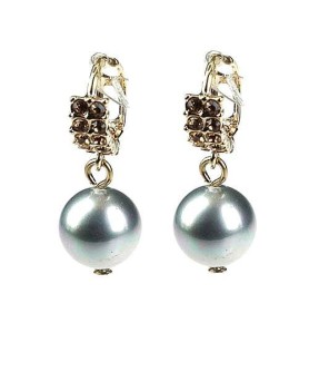 Earrings Gray 4202460601
