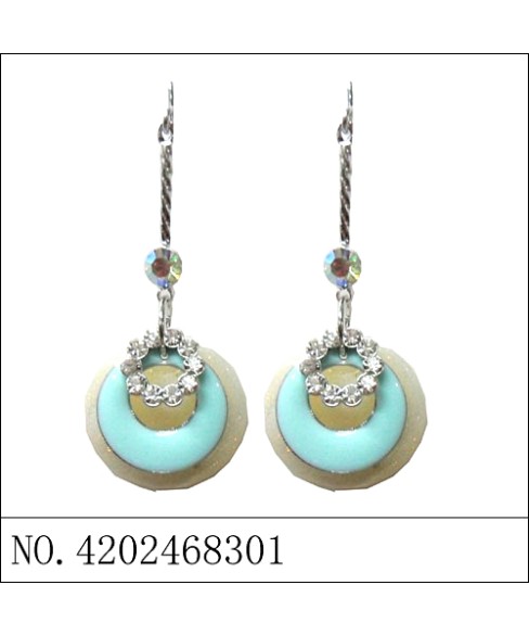 Earrings Blue