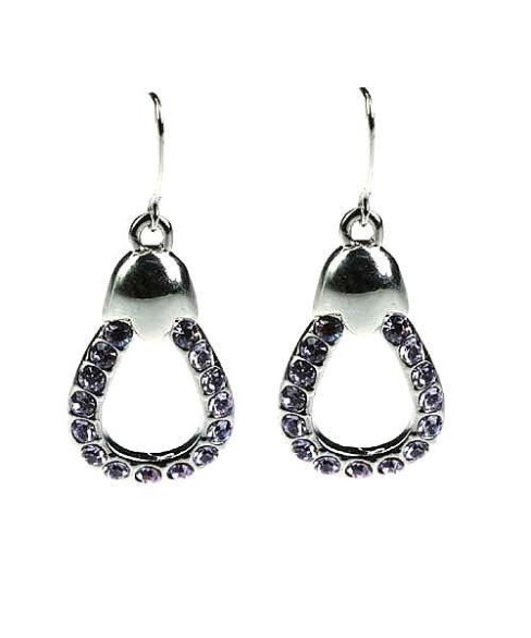 Earrings Purple 4202475400
