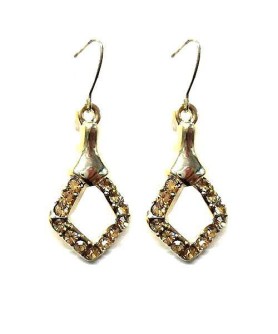 Earrings Brown 4202475800