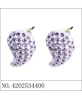 Earrings Purple