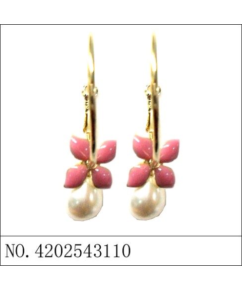 Earrings Red