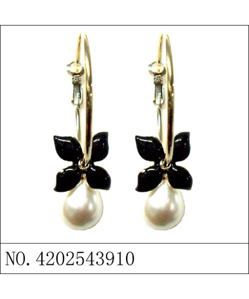 Earrings Black