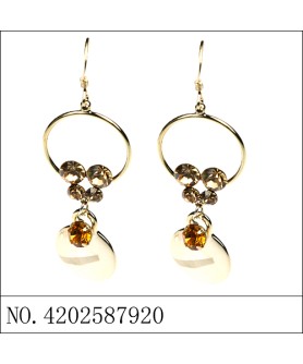 Earrings Gold