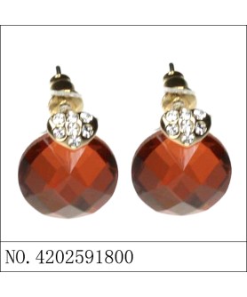 Earrings Brown