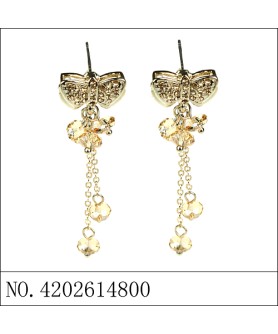 Earrings Brown