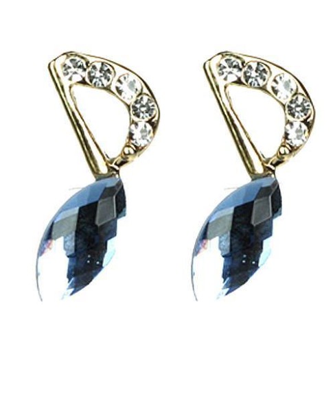 Earrings Blue 4202616300