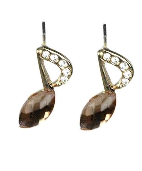 Earrings Brown 4202616800