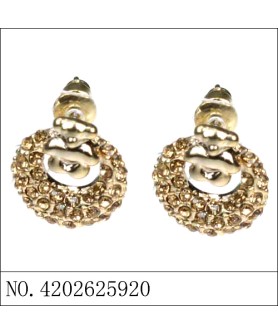 Earrings Gold