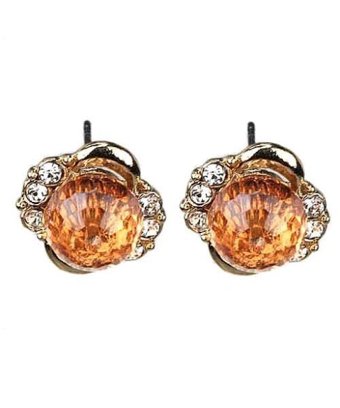 Earrings Brown 4202626800