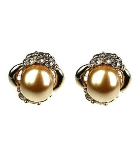 Earrings Brown 4202626801