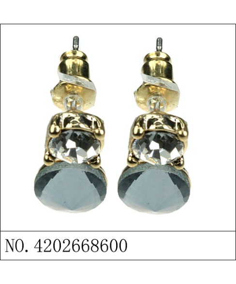 Earrings Gray