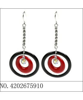 Earrings Black