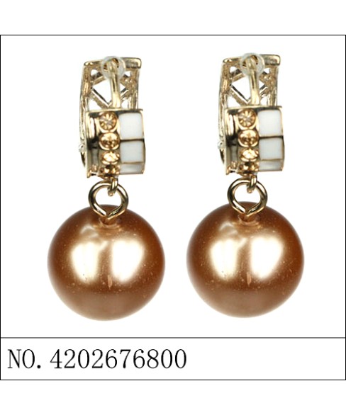 Earrings Brown