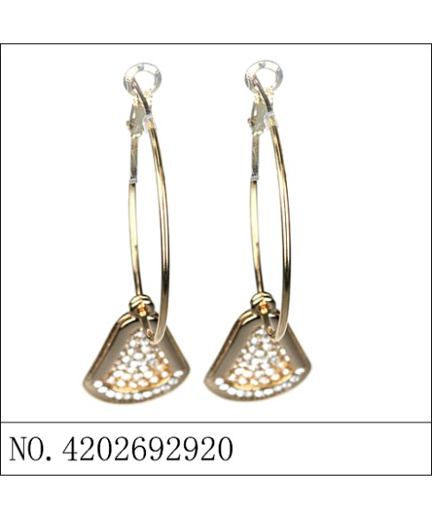 Earrings Gold