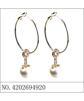 Earrings Gold