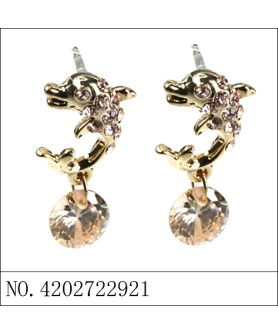 Earrings Gold