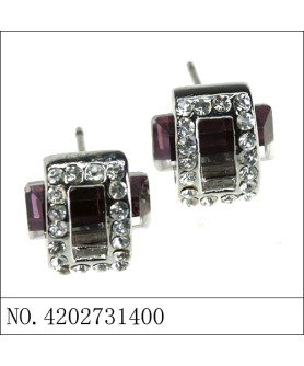 Earrings Purple