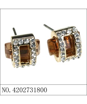 Earrings Brown