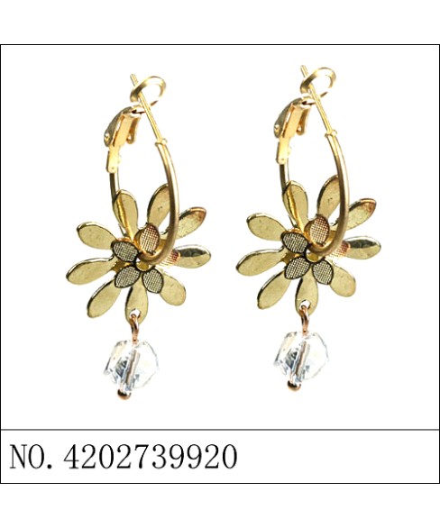 Earrings Gold