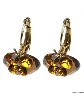 Earrings Brown