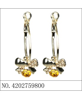 Earrings Brown