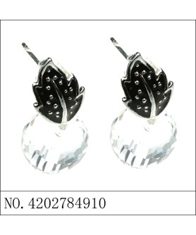 Earrings Black