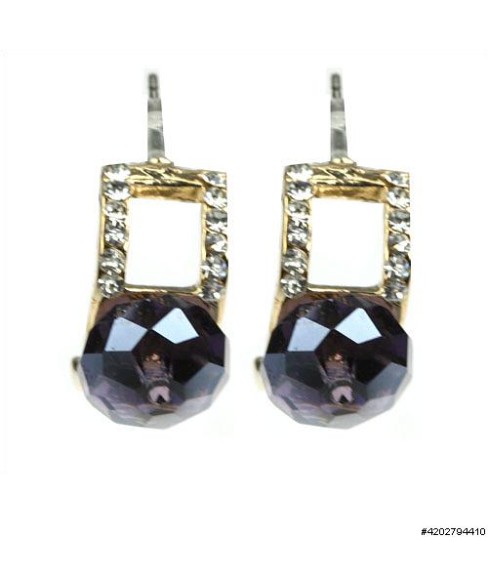 Earrings Purple